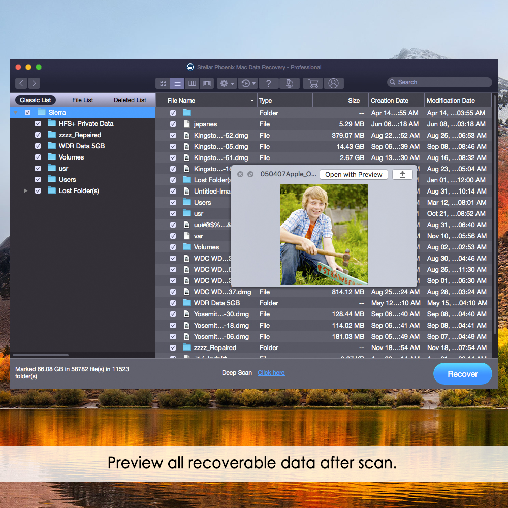 Show Preview of Recovered Data on Software interface